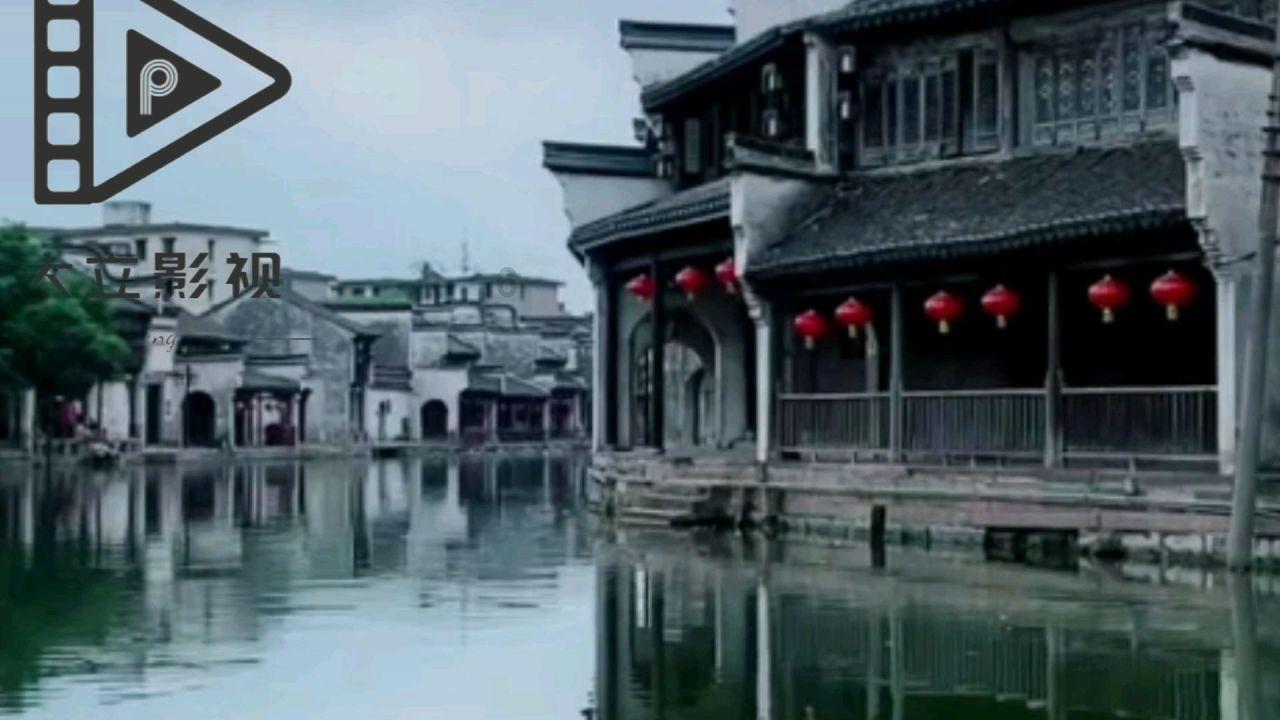 飞天小猪仔